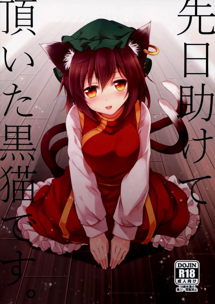 Senjitsu Tasukete Itadaita Kuroneko desu.