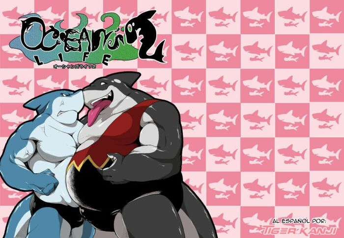 Ocean's Life 2 | Vida en el oceano 2